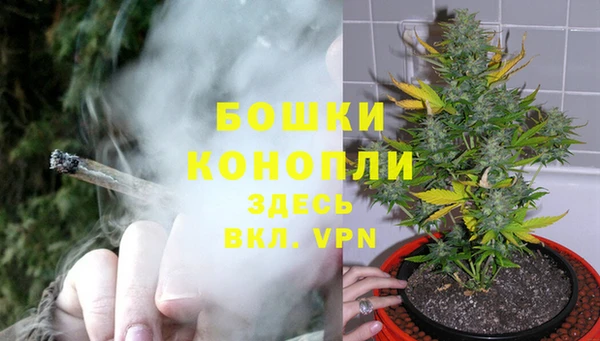 метадон Богданович