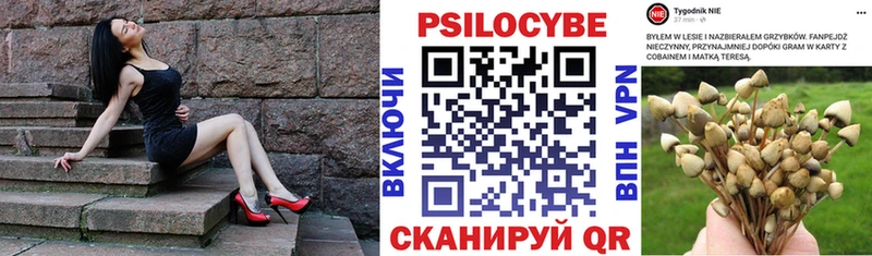 Галлюциногенные грибы Cubensis  Купить  Томари 