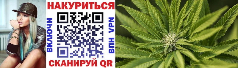 Бошки марихуана сатива  Купить  Томари 